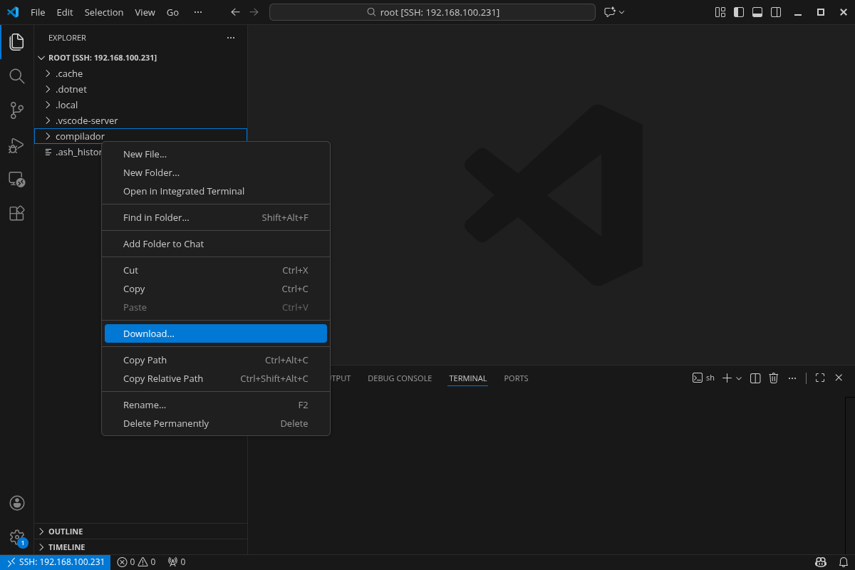 Opção de download de arquivos no VS Code